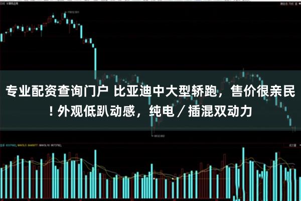 专业配资查询门户 比亚迪中大型轿跑，售价很亲民! 外观低趴动感，纯电／插混双动力