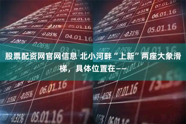 股票配资网官网信息 北小河畔“上新”两座大象滑梯，具体位置在——